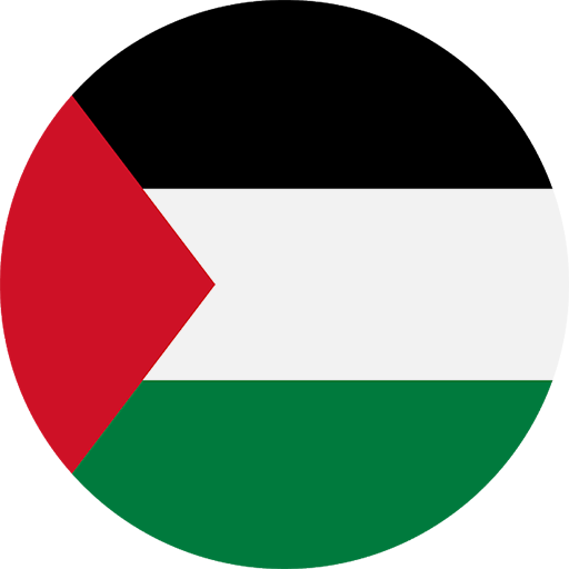 palestine flag