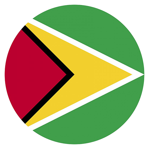 guyana flag