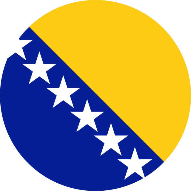 Bosnia Flag