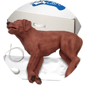 lucy simulation in healthcare birth simulator dog manikin