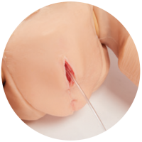 teri female urinary attachment